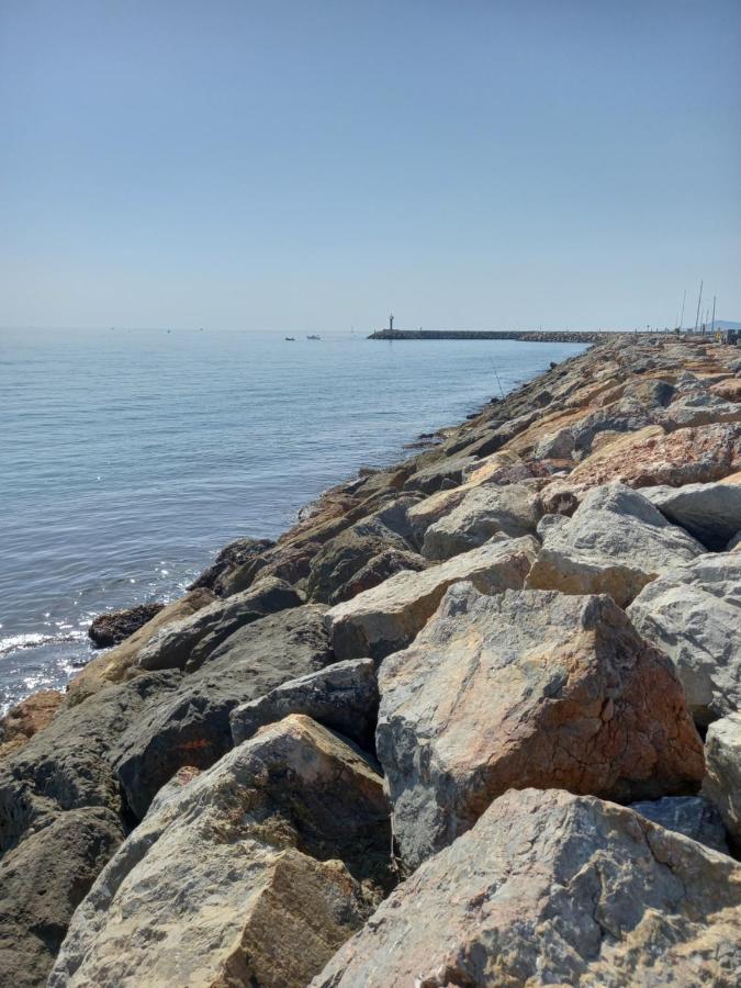 Appartement Saint Cyprien Plage Residence Les Mas De La Mer Εξωτερικό φωτογραφία