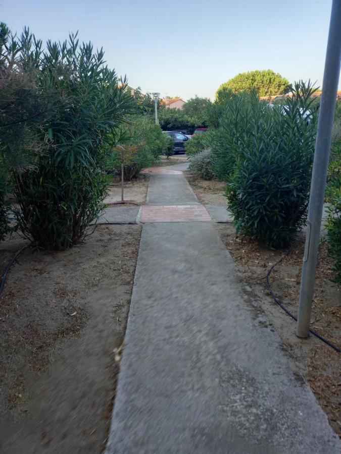 Appartement Saint Cyprien Plage Residence Les Mas De La Mer Εξωτερικό φωτογραφία